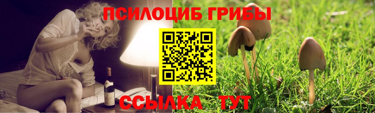 Галлюциногенные грибы MAGIC MUSHROOMS  дарнет шоп  Вход с VPN  Нефтеюганск  Псилоцибиновые грибы прущие грибы 